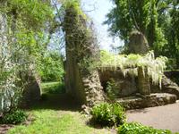 Ninfa