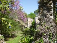 Ninfa