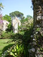 Ninfa
