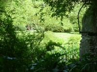 Ninfa