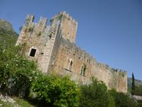 Ninfa