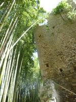 Ninfa