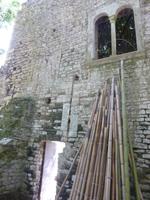 Ninfa