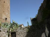Ninfa