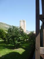 Ninfa