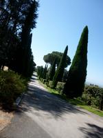 Papstgarten Castel Gandolfo