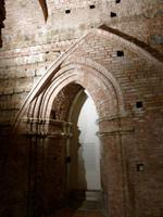 Siena, Krypta