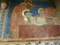 Siena, Krypta
