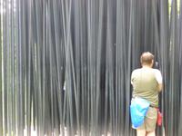 Spoerrigarten bei Seggiano