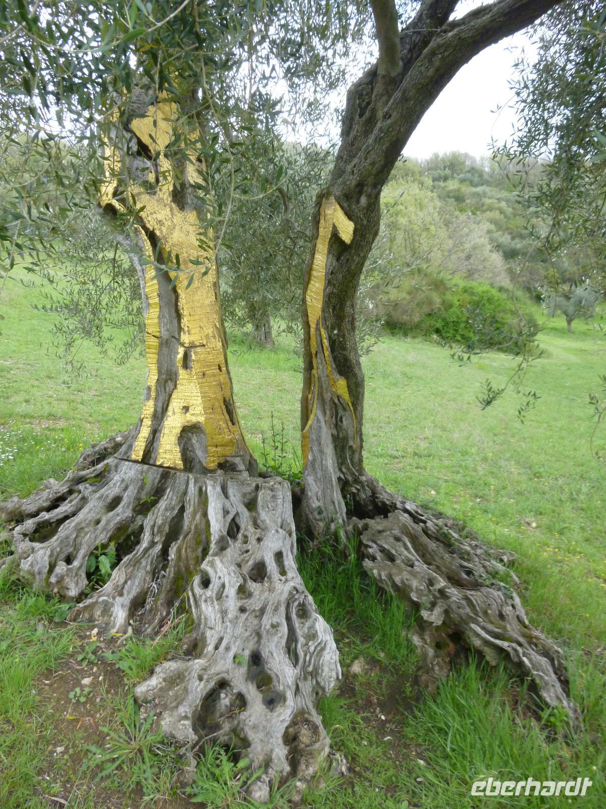 Spoerrigarten