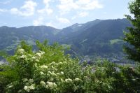 Tag 10 22.05.2022 Heimreise  