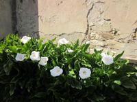 Travalle (4)