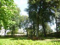 Villa Lante Bagnaia
