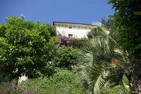 Borromäische_Inseln_Isola_Madre (4)