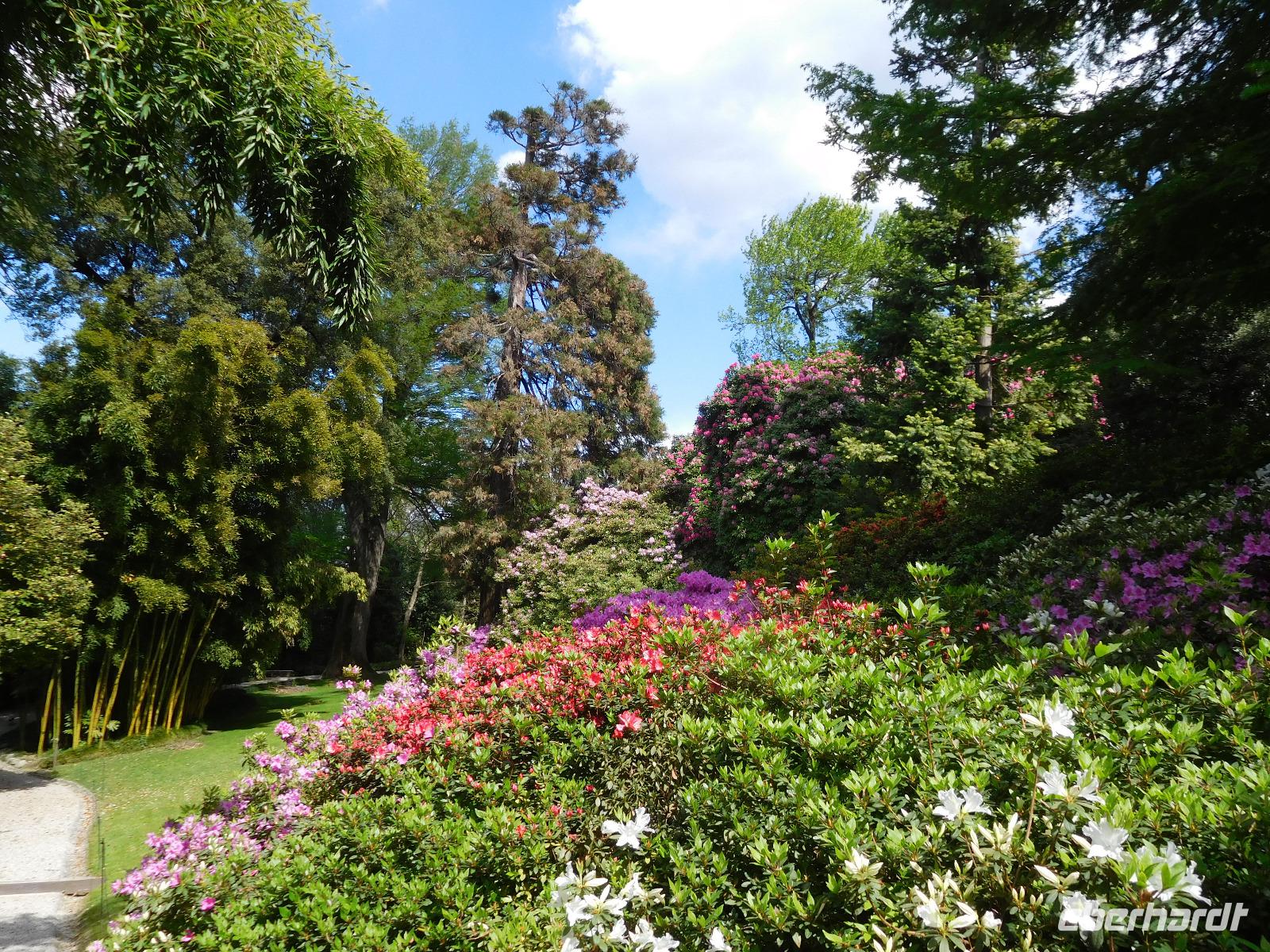 Borromäische_Inseln_Isola_Madre (2)