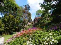 Borromäische_Inseln_Isola_Madre (2)