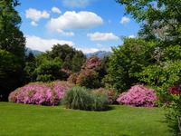 Borromäische_Inseln_Isola_Madre (3)