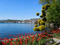 Lugano_Parco_Publico (6)