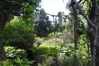 Villa Carlotta - Comer See