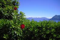 Stresa - Lago Maggiore (Uferpromenade)