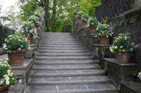 Isola Bella - Gartenanlagen