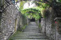 Mit Alfredo auf Rundgang ( Isola Madre )