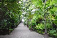 Mit Alfredo auf Rundgang ( Isola Madre )