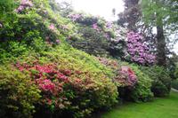 Mit Alfredo auf Rundgang ( Isola Madre )