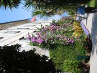 Borromäische_Inseln _Isola_Madre (1)