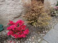 Insel San Giulio im Ortasee