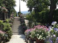 Terassengärten auf Isola Bella