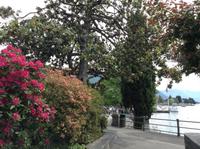 an der Uferpromenade von Locarno