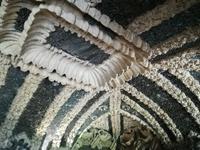 In der Muschelgrotte.