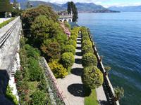 Gepflegte Baumallee.