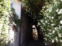 hübsche üppig bewachsene Gässchen