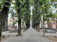 Mailand - Monumentalfriedhof