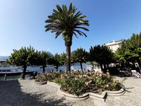 Comer See - Bellagio