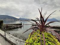 Borromäische Inseln - Isola Madre (Englischer Garten)