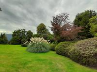 Borromäische Inseln - Isola Madre (Englischer Garten)