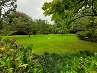 Borromäische Inseln - Isola Madre (Englischer Garten)