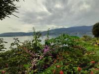 Borromäische Inseln - Isola Madre (Englischer Garten)