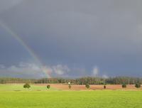 Dauerregen auf der Heimfahrt - aber dafür mit Regenbogen...