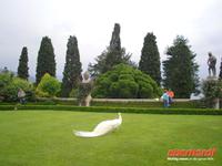 Garten auf der Isola Bella