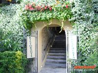 Restaurant auf der Fischerinsel