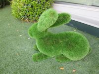 Dekoration im Grand Hotel Dino