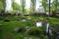 Kamelienpark in Locarno