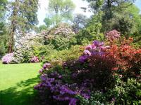 die Isola Madre blueht