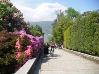 die Isola Madre blueht