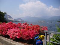 am Lago in Stresa