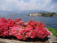 Blick auf Isola Bella